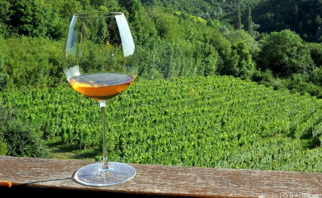 1. Summer riesling tasting 