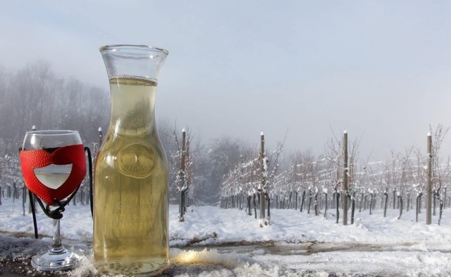 Vinogradi se bude uz blagoslov svetog Vinka