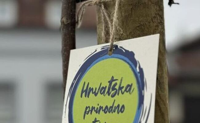 Nova stabla za zeleniji grad