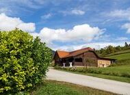 Vinogradarstvo i vinarstvo Robert Braje