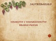 Vinarstvo i vinogradarstvo Branko Pušćak