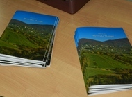 Održana promocija DVD-a i brošure o plešivičkom Martinju 