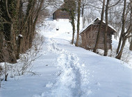 Winter Jaska 