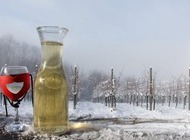 Vinogradi se bude uz blagoslov svetog Vinka