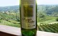 Vinogradarstvo i vinarstvo Golubić